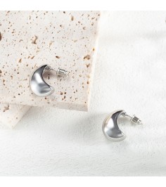 Silver Arc Earring